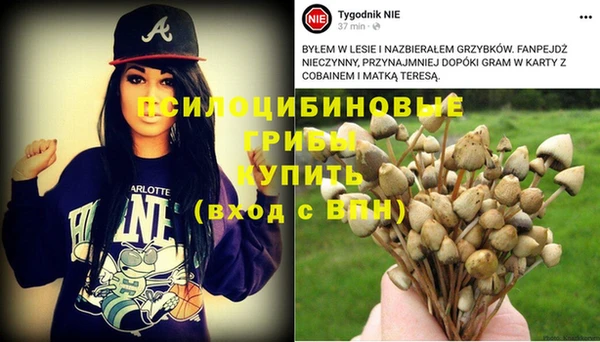 дживик Аркадак