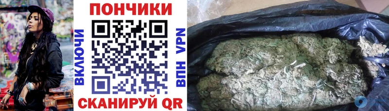 как найти наркотики  Багратионовск  Канабис VHQ 